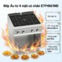 Bếp Âu từ 4 mặt có chân E7P4M/IND
