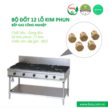 Bộ đốt 12 lỗ kim phun