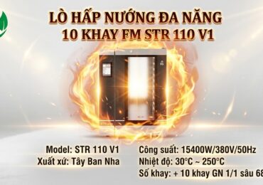 Lò hấp nướng đa năng 10 khay FM STR 110 V1